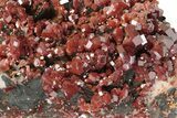 Top-Quality, Deep Red Vanadinite Crystals on Barite - Morocco #231844-3
